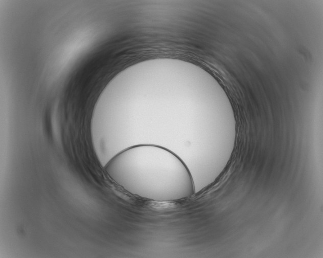 X0000113740429200909230949