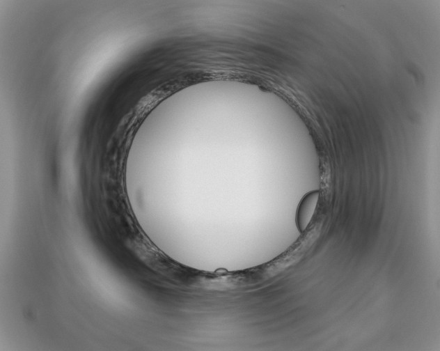 X0000113740430200909230949