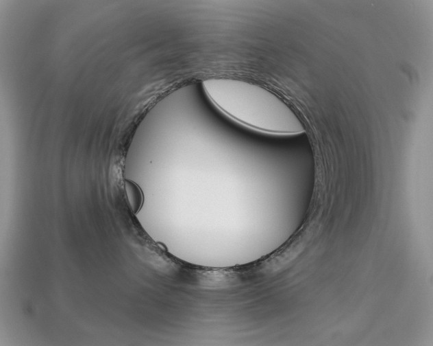 X0000113740432200909230949
