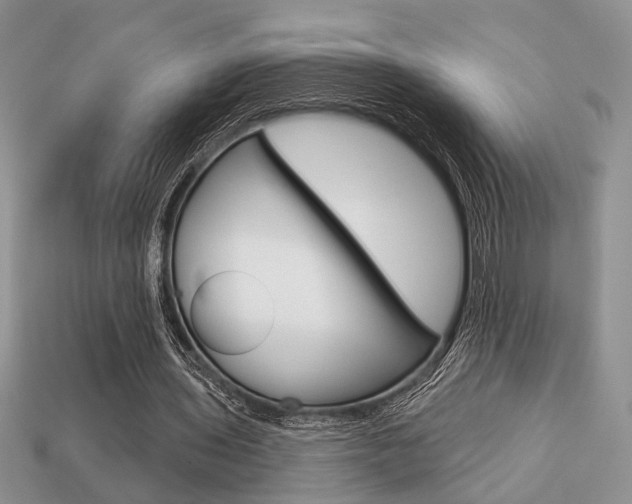 X0000113740435200909230949