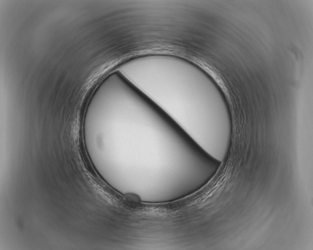 X0000113740437200909230949