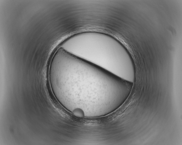 X0000113740438200909230949