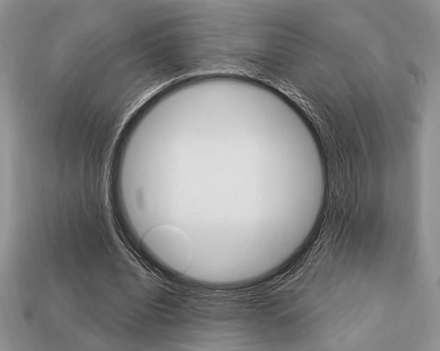X0000113740440200909230949