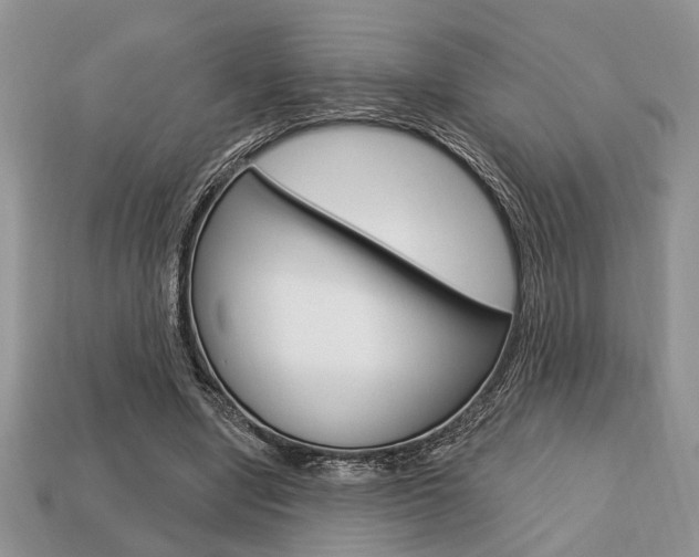 X0000113740442200909230949