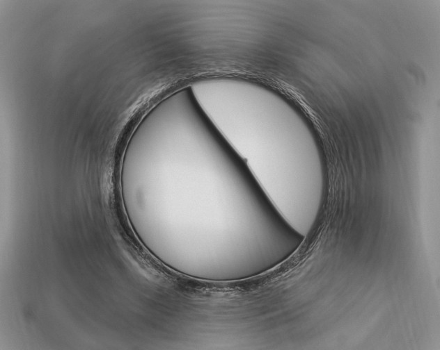 X0000113740443200909230949