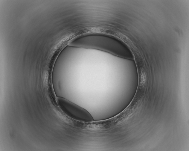 X0000113740444200909230949