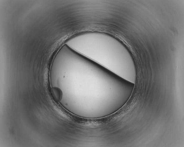 X0000113740445200909230949