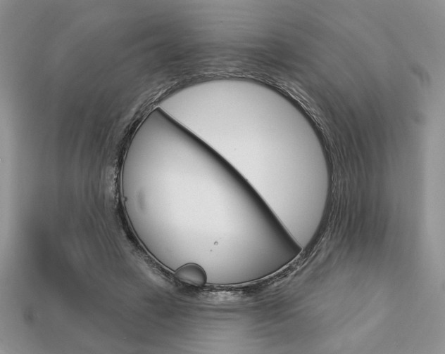 X0000113740449200909230949
