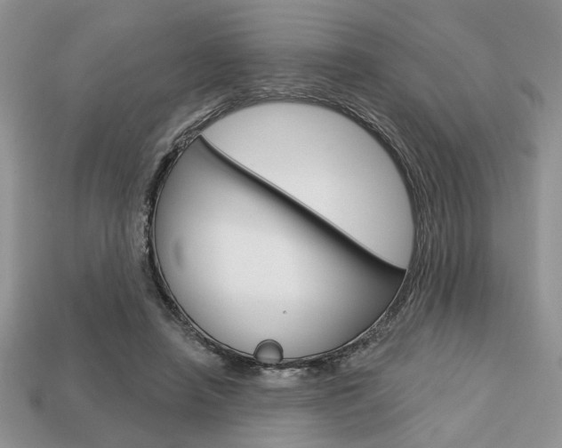 X0000113740450200909230949