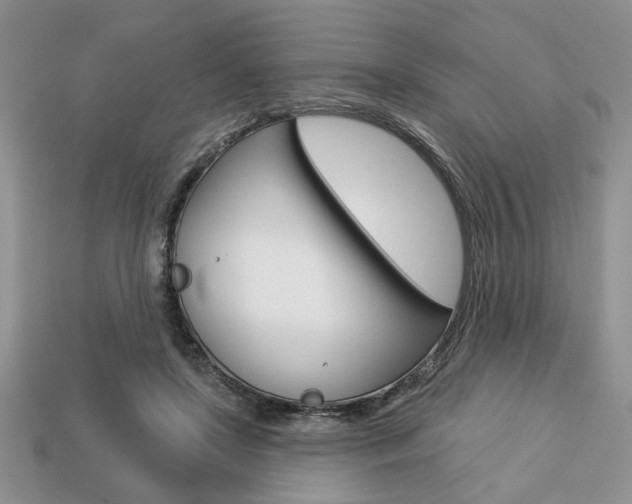 X0000113740451200909230949
