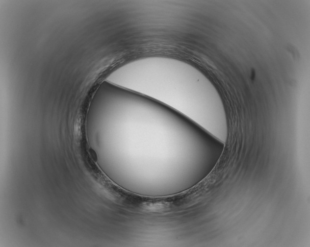 X0000113740452200909230949