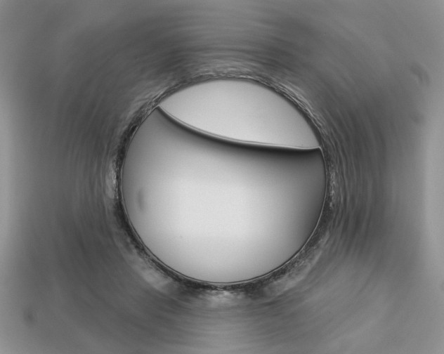 X0000113740453200909230949