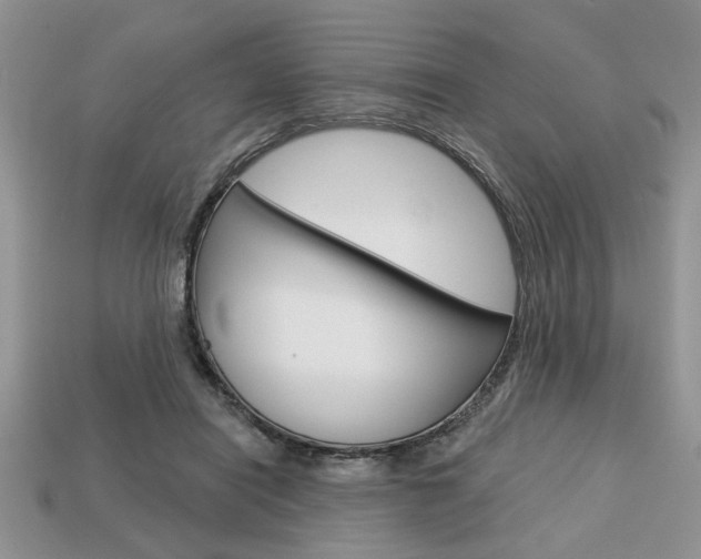 X0000113740454200909230949