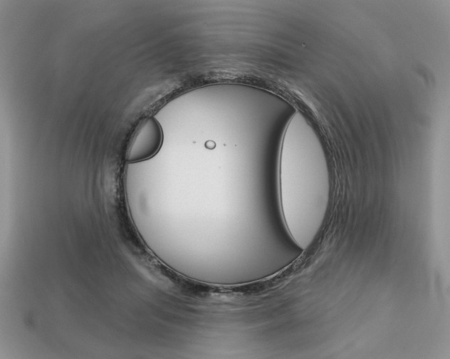 X0000113740455200909230949