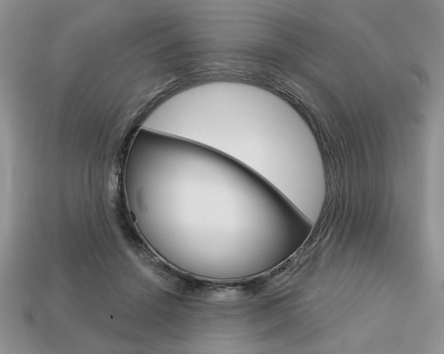 X0000113740456200909230949
