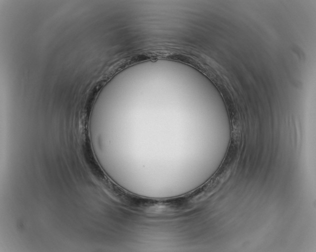 X0000113740460200909230949
