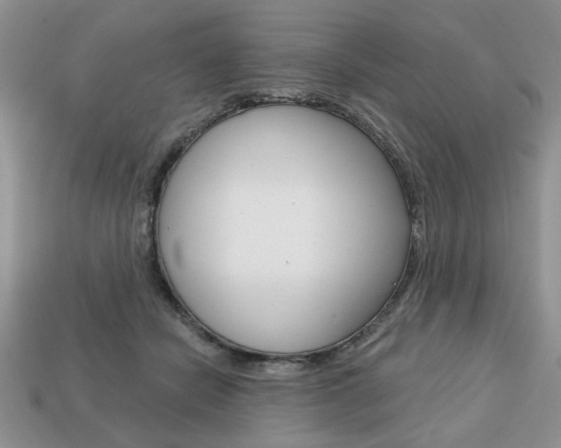 X0000113740462200909230949