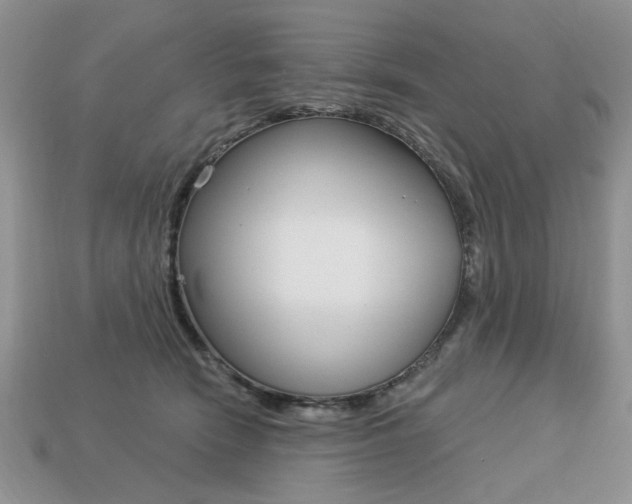 X0000113740466200909230949