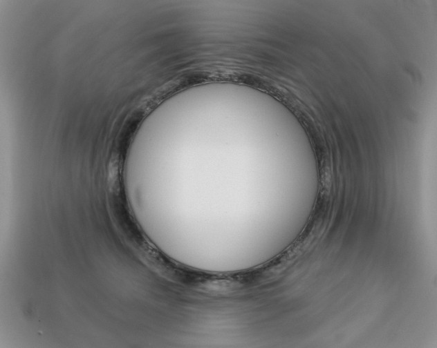 X0000113740468200909230949
