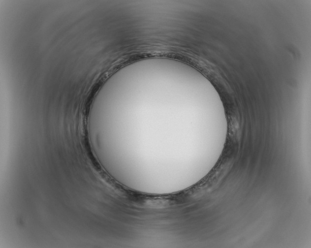 X0000113740470200909230949