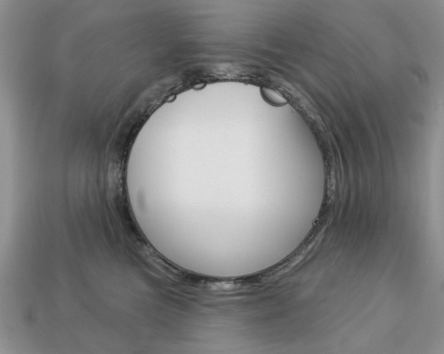 X0000113740473200909230949