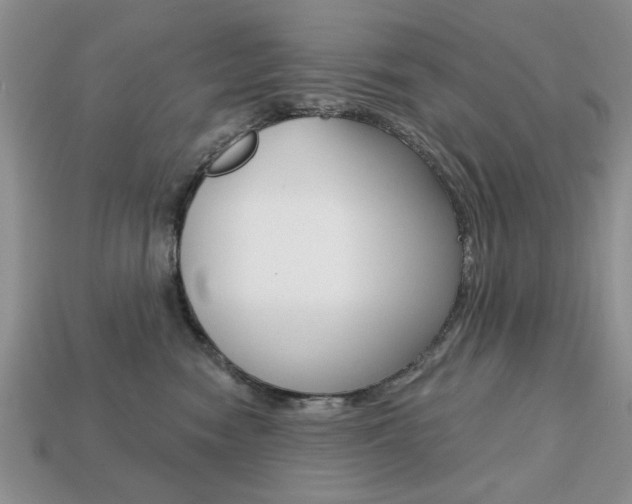 X0000113740474200909230949