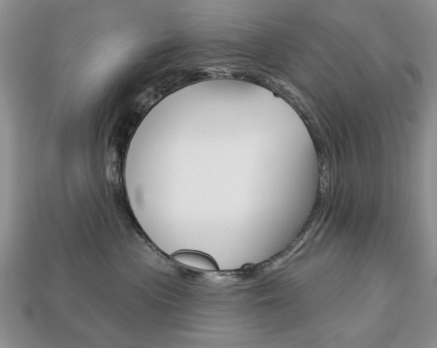 X0000113740477200909230949