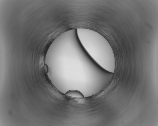 X0000113740478200909230949