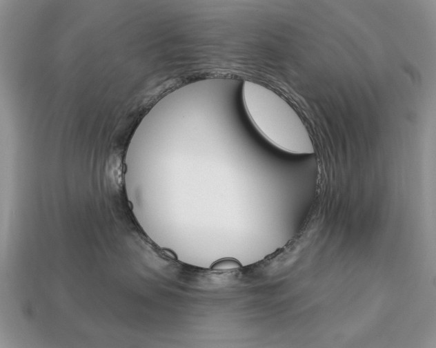 X0000113740479200909230949