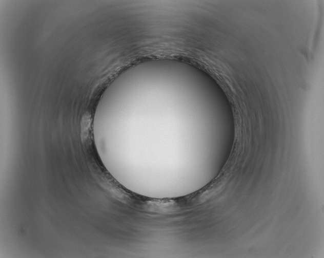 X0000113740480200909230949