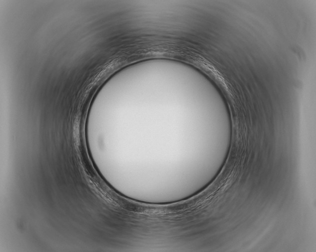X0000113740482200909230949