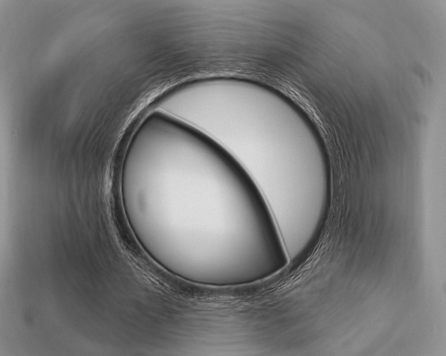 X0000113740483200909230949