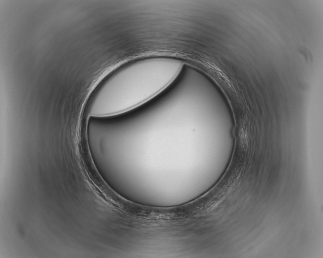 X0000113740484200909230949