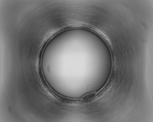X0000113740485200909230948
