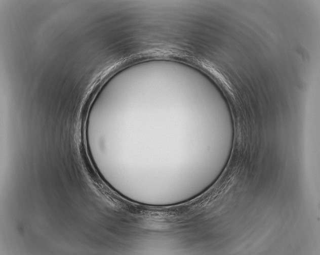 X0000113740486200909230948