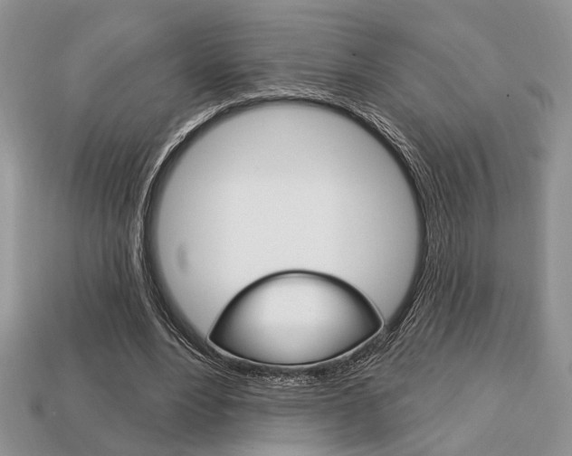 X0000113740488200909230948