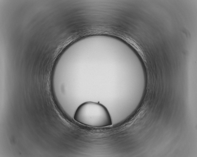 X0000113740489200909230948