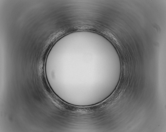 X0000113740490200909230948
