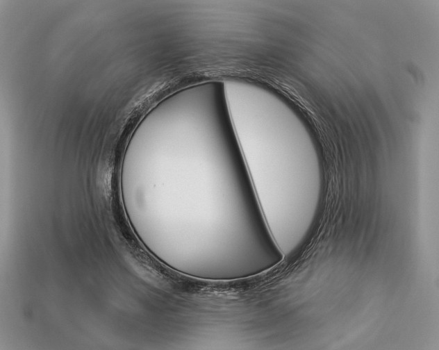 X0000113740491200909230948