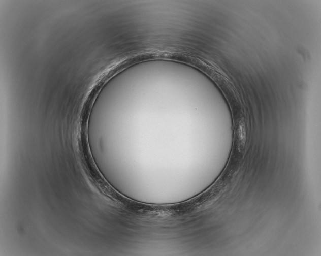 X0000113740492200909230948
