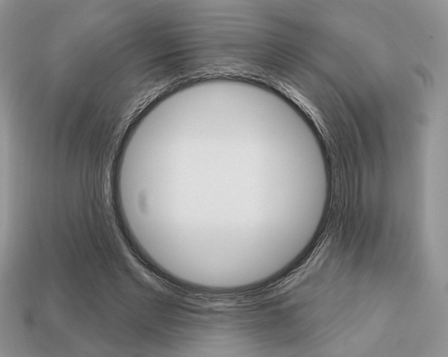X0000113740493200909230948