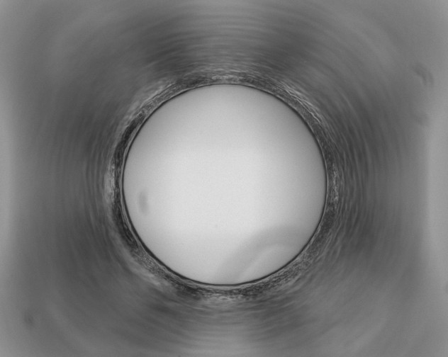 X0000113740494200909230948