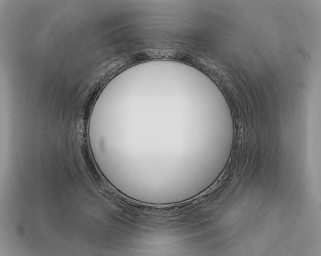 X0000113740498200909230948