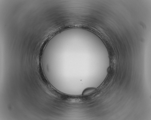 X0000113740500200909230948