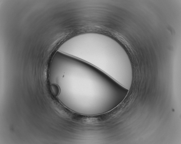 X0000113740501200909230948