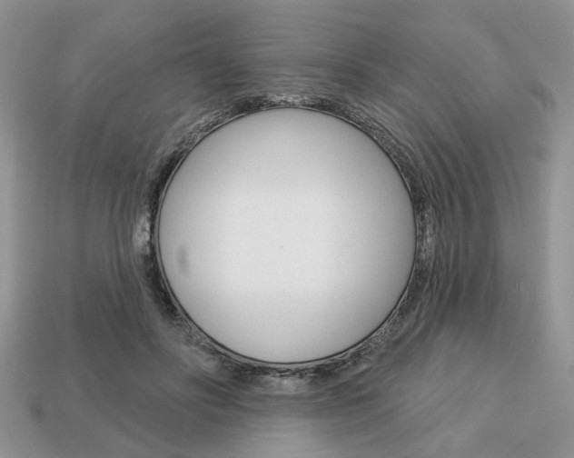 X0000113740502200909230948