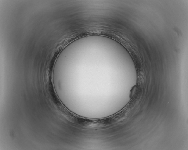 X0000113740504200909230948