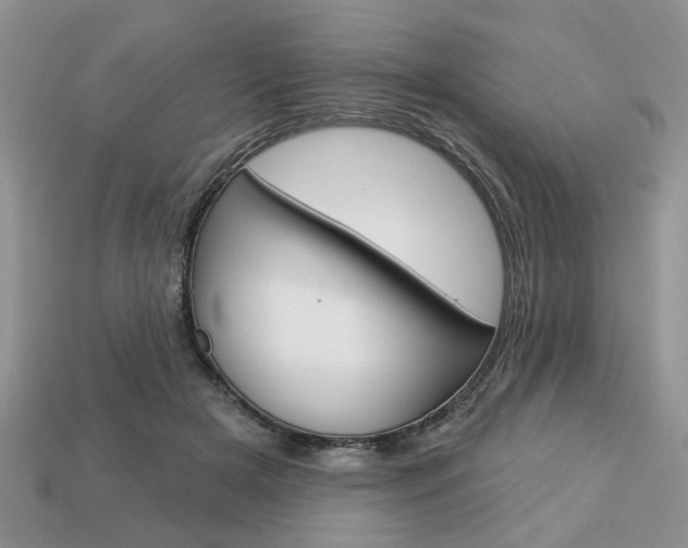 X0000113740505200909230948