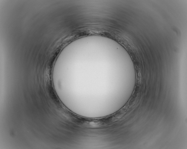 X0000113740506200909230948