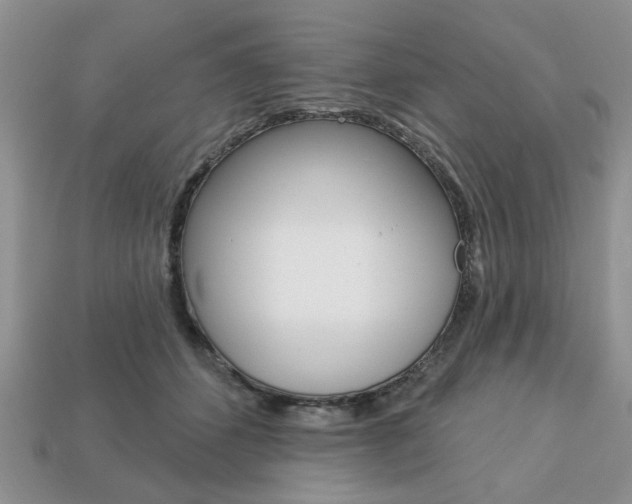 X0000113740512200909230948